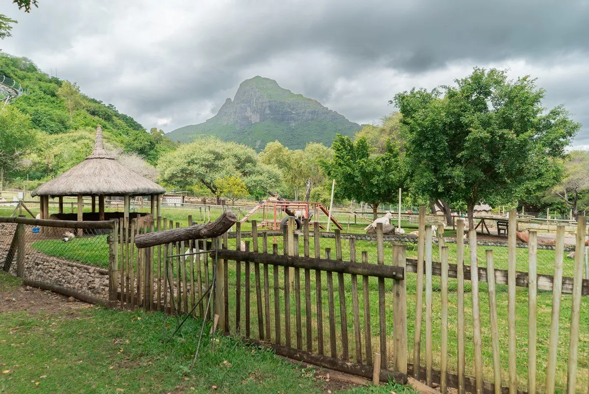 A Peaceful Escape at Casela's Small Farm