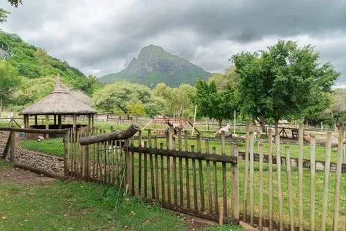 A Peaceful Escape at Casela's Small Farm